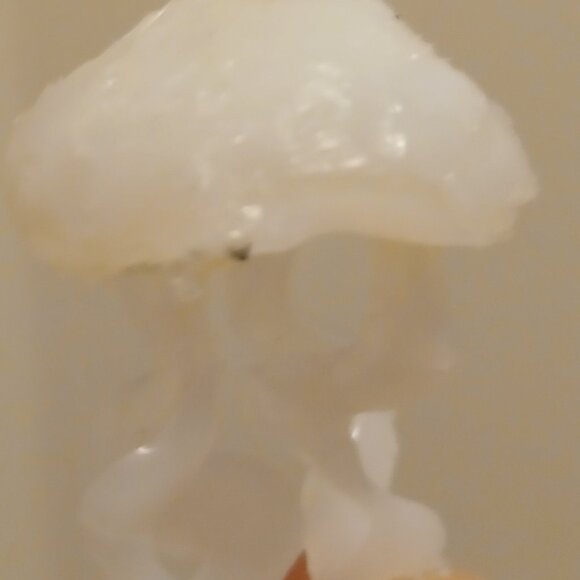 Jellyfish and stickers - Picture 1 of 2